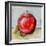 Abstract Kitchen Fruit 5-Jean Plout-Framed Giclee Print