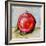 Abstract Kitchen Fruit 5-Jean Plout-Framed Giclee Print