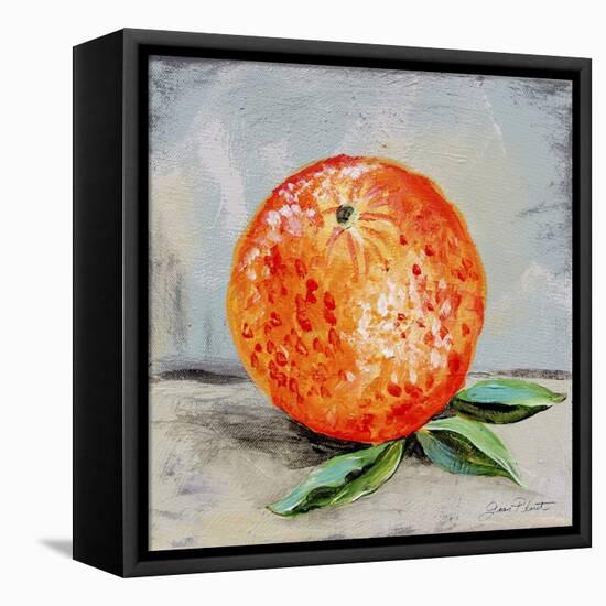 Abstract Kitchen Fruit 6-Jean Plout-Framed Premier Image Canvas