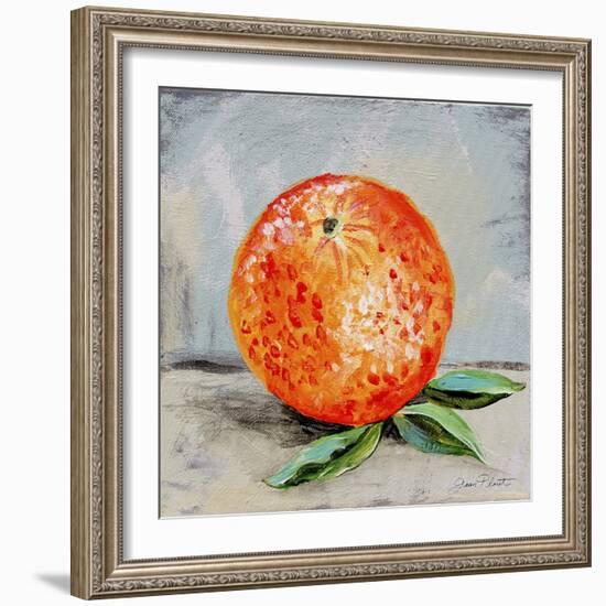 Abstract Kitchen Fruit 6-Jean Plout-Framed Giclee Print