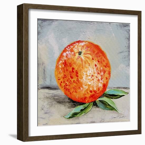 Abstract Kitchen Fruit 6-Jean Plout-Framed Giclee Print