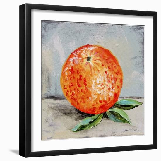 Abstract Kitchen Fruit 6-Jean Plout-Framed Giclee Print