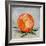 Abstract Kitchen Fruit 6-Jean Plout-Framed Giclee Print