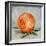 Abstract Kitchen Fruit 6-Jean Plout-Framed Giclee Print