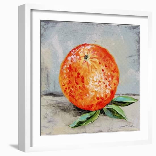 Abstract Kitchen Fruit 6-Jean Plout-Framed Giclee Print