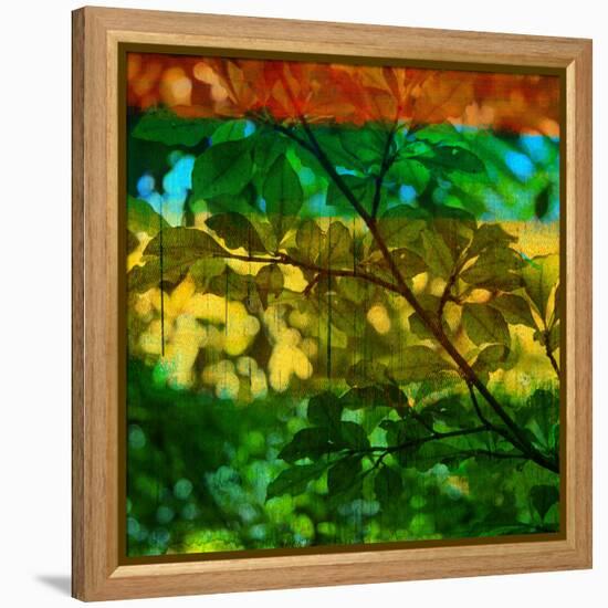 Abstract Leaf Study I-Sisa Jasper-Framed Premier Image Canvas
