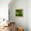Abstract Leaf Study I-Sisa Jasper-Framed Premier Image Canvas displayed on a wall