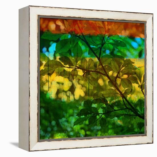 Abstract Leaf Study I-Sisa Jasper-Framed Premier Image Canvas