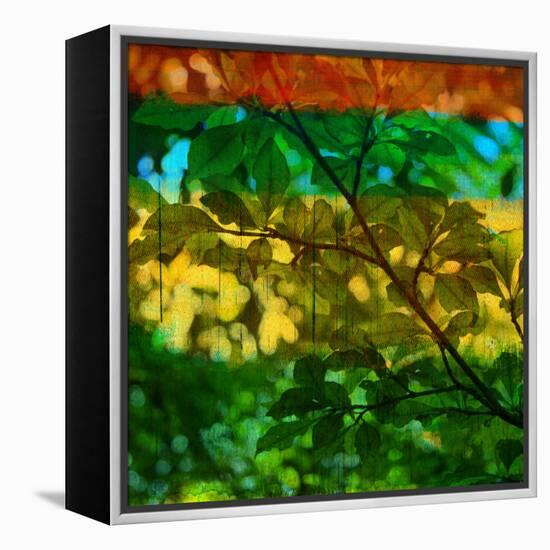 Abstract Leaf Study I-Sisa Jasper-Framed Premier Image Canvas