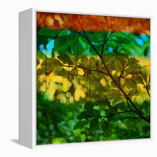 Abstract Leaf Study I-Sisa Jasper-Framed Premier Image Canvas