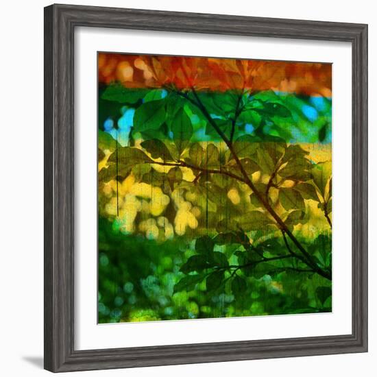 Abstract Leaf Study I-Sisa Jasper-Framed Photographic Print