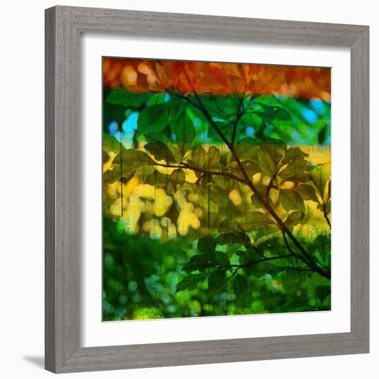 Abstract Leaf Study I-Sisa Jasper-Framed Photographic Print