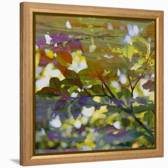 Abstract Leaf Study II-Sisa Jasper-Framed Premier Image Canvas