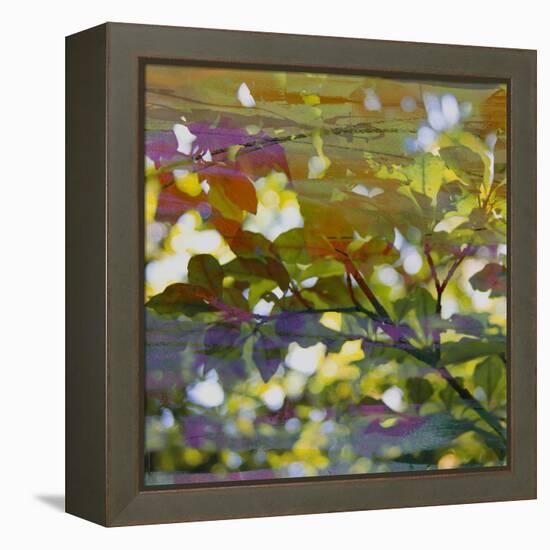 Abstract Leaf Study II-Sisa Jasper-Framed Premier Image Canvas