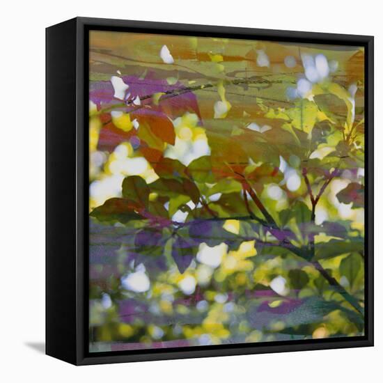 Abstract Leaf Study II-Sisa Jasper-Framed Premier Image Canvas