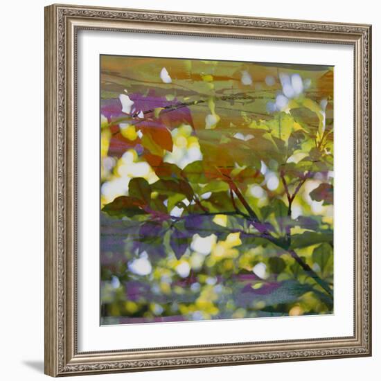 Abstract Leaf Study II-Sisa Jasper-Framed Photographic Print