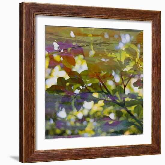 Abstract Leaf Study II-Sisa Jasper-Framed Photographic Print