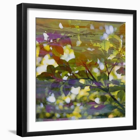 Abstract Leaf Study II-Sisa Jasper-Framed Photographic Print