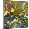 Abstract Leaf Study II-Sisa Jasper-Mounted Photographic Print