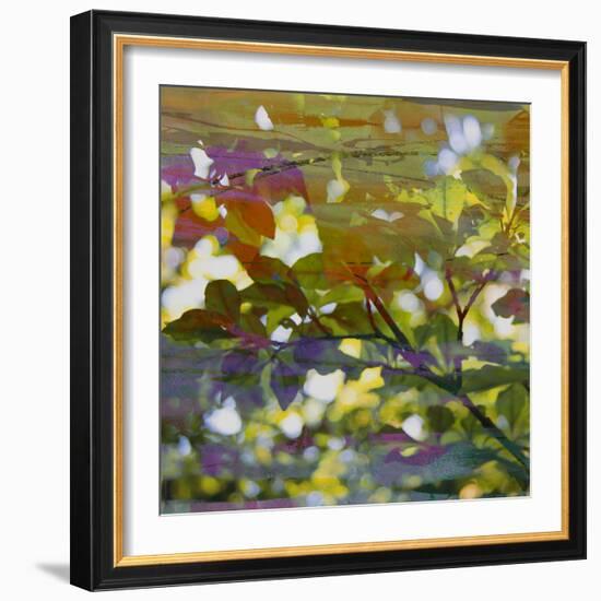 Abstract Leaf Study II-Sisa Jasper-Framed Photographic Print