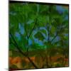Abstract Leaf Study V-Sisa Jasper-Mounted Photographic Print