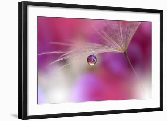 Photo, , large