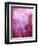 Abstract Mixed Media Artwork-toitoitoi-Framed Premium Giclee Print