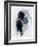 Abstract Motion Blue, 2023-David Moore-Framed Art Print