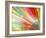 Abstract Multicolored-epic44-Framed Art Print