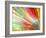 Abstract Multicolored-epic44-Framed Art Print