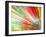 Abstract Multicolored-epic44-Framed Art Print