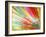 Abstract Multicolored-epic44-Framed Art Print