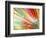 Abstract Multicolored-epic44-Framed Art Print