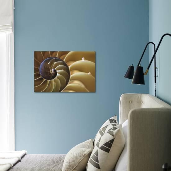 Abstract Of A Nautilus Shell Georgia Usa Photographic Print Joanne Wells Art Com