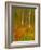 Abstract of Autumn Forest Scene, New York, Usa-Jay O'brien-Framed Photographic Print