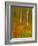 Abstract of Autumn Forest Scene, New York, Usa-Jay O'brien-Framed Photographic Print