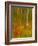 Abstract of Autumn Forest Scene, New York, Usa-Jay O'brien-Framed Photographic Print