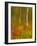 Abstract of Autumn Forest Scene, New York, Usa-Jay O'brien-Framed Photographic Print