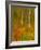 Abstract of Autumn Forest Scene, New York, Usa-Jay O'brien-Framed Photographic Print