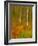 Abstract of Autumn Forest Scene, New York, Usa-Jay O'brien-Framed Photographic Print