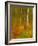 Abstract of Autumn Forest Scene, New York, Usa-Jay O'brien-Framed Photographic Print