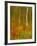 Abstract of Autumn Forest Scene, New York, Usa-Jay O'brien-Framed Photographic Print