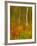 Abstract of Autumn Forest Scene, New York, Usa-Jay O'brien-Framed Photographic Print