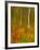 Abstract of Autumn Forest Scene, New York, Usa-Jay O'brien-Framed Photographic Print