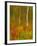 Abstract of Autumn Forest Scene, New York, Usa-Jay O'brien-Framed Photographic Print