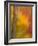 Abstract of Autumn Forest Scene, New York, Usa-Jay O'brien-Framed Photographic Print