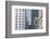 Abstract of Buildings in the La Defense District, Paris, France, Europe-Julian Elliott-Framed Photographic Print