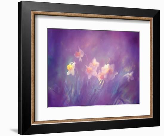 Abstract of Daffodils, New Brunswick, Canada-Charles R. Needle-Framed Photographic Print