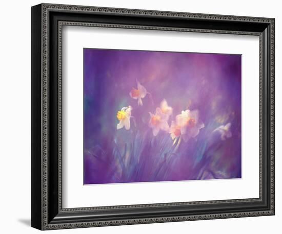 Abstract of Daffodils, New Brunswick, Canada-Charles R. Needle-Framed Photographic Print