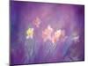 Abstract of Daffodils, New Brunswick, Canada-Charles R. Needle-Mounted Photographic Print